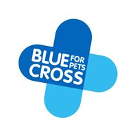 40-blue-cross-charity-dog-show